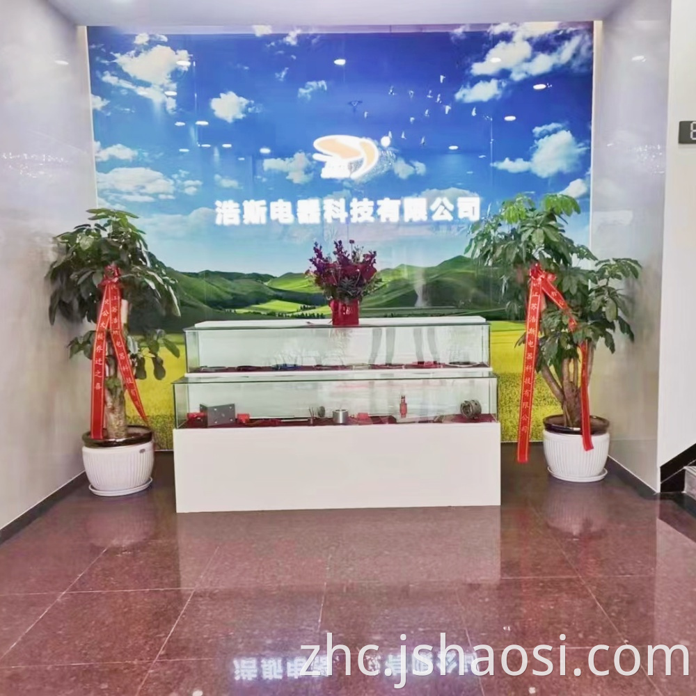 HAOSI INNER